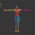 Spider Man 3D Character Model With Red And Blue Costume And Outstretched Arms