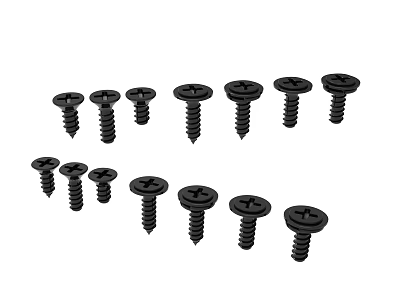 Assorted Black Cross Head Screws with Various Sizes for Hardware Tools 3d model