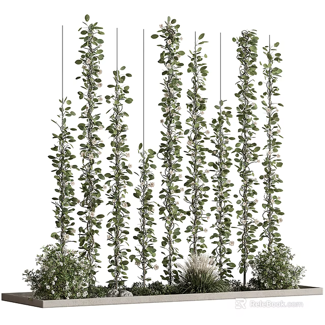 Bonsai Potted Plants With Hanging Vines Lush Green Leaves And Vertical Growth 3d model 