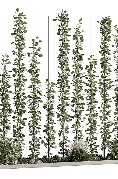 Bonsai Potted Plants With Hanging Vines Lush Green Leaves And Vertical Growth 3d model