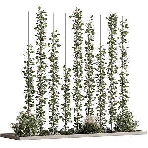 rattan plant ivy 3d model