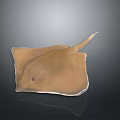 Yellow Stingray Shaped Resin Decorative Ornament For Modern Home Decoration