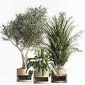 Shower Sauna Space With Lush Green Plants And Hanging Potted Greenery