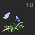 Two Blue Flowers in Decorative Vase with Green Leaves on Black Minimalist Background