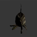 Spotted Fish With Brown And Black Patterns On Slender Body And Fins