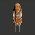 Modern Nautilus Shell Sea Shell Seafoil 3d model