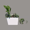 White Square Flower Stand with Lush Green Plants and Palm Leaves