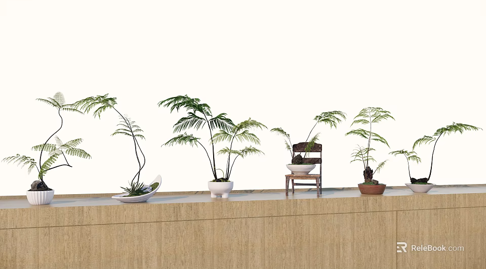 Bonsai Potted Plants with Fern Leaves on Wooden Counter and Ceramic Pots 3d model 