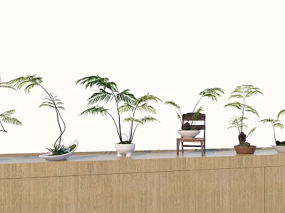 Bonsai Potted Plants with Fern Leaves on Wooden Counter and Ceramic Pots 3d model