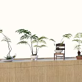 Bonsai Potted Plants with Fern Leaves on Wooden Counter and Ceramic Pots