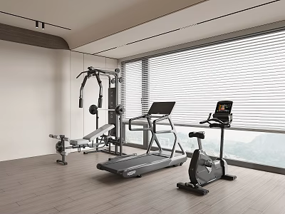 Modern Home Gym Setup With Treadmill Exercise Bike Bench And Large Windows 3d model