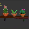 Colorful Cactus Plants with Red Purple Flowers in Orange Pots on Wooden Shelf