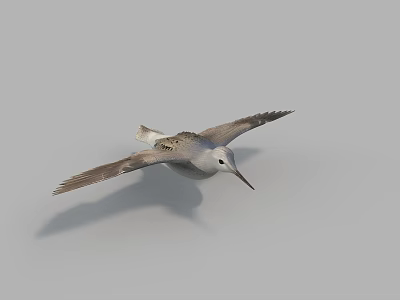 Flying Bird With White Plumage And Long Beak Spread Wings In Flight Against Gray Sky 3d model