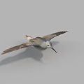 Flying Bird With White Plumage And Long Beak Spread Wings In Flight Against Gray Sky