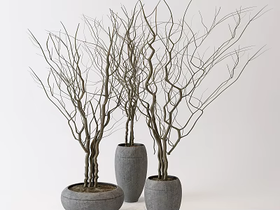 Bonsai Potted Plants With Leafless Branches In Three Grey Pots 3d model
