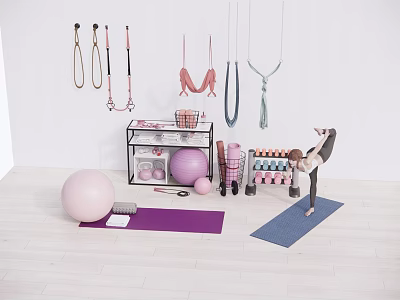 Fitness Equipment Set Featuring Yoga Ball Mat Blocks Dumbbells Resistance Bands And Hammock 3d model