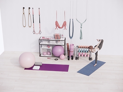 Modern Fitness Equipment Fitness Yoga Fitness Equipment Combination 3d model