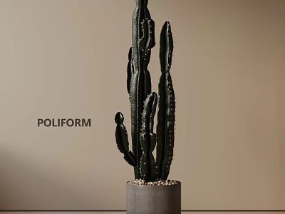 Stylish Tall Green Cactus Potted Plant In Concrete Pot Against Beige Wall 3d model