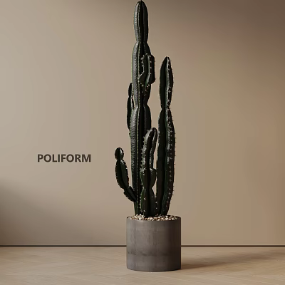 Stylish Tall Green Cactus Potted Plant In Concrete Pot Against Beige Wall 3d model
