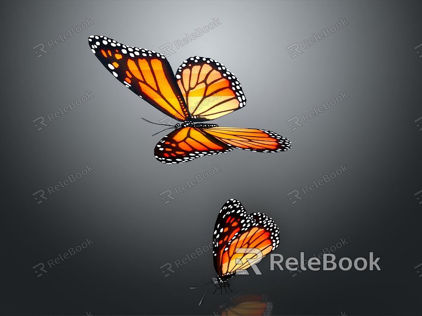 Modern Butterfly Colored Butterfly Tabby Butterfly Leaf Butterfly model