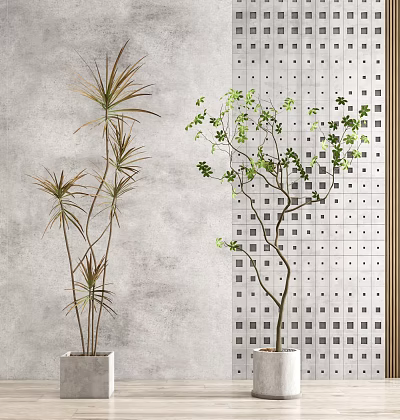 Indoor Bonsai Potted Plants With Lush Green Leaves And Perforated Wall Background 3d model