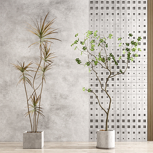 Modern potted plants 3d model