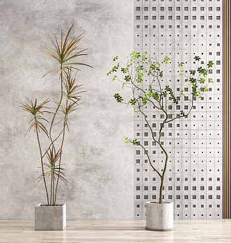 Modern potted plants 3d model