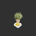 Decorative Ornament Set with Woven Vase Green Plant White Bowl and Yellow Lemons