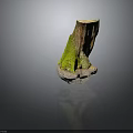 Natural Wooden Tree Stump Decorative Piece With Stone Base And Green Moss Texture
