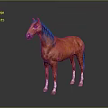 Brown Horse with Black Mane and White Hooves Standing on Gray Background with Reflection