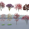 Colorful Arbor Trees With Various Leaf Colors And Diverse Species
