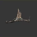 Natural Plant Scene Featuring Decayed Tree Stump With Fallen Leaves And Mossy Debris