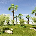 Modern Tree Palm Tree Group Landscape Tropical Plants Plant Combination Sunflower Tree 3d model