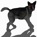 Modern Dog Animal Dog 3d model