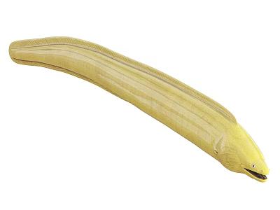 Yellow Eel Aquatic Animal With Long Slender Body And Sleek Skin 3d model