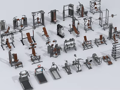 Various Types of Gym Fitness Equipment for Strength and Cardio Training 3d model