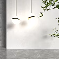 Two Spherical White Pendant Lights With Gold Accents Against White Wall And Green Leaves
