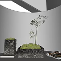 Bonsai Potted Plants In Textured Patterned Pots With Moss And Bamboo Under Sunlight Shadows