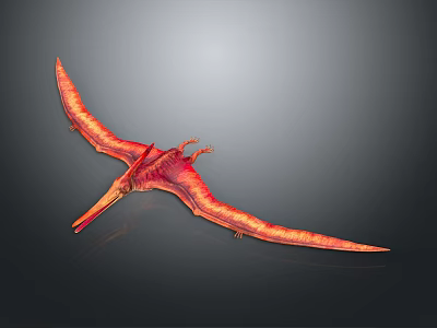Red Pterosaur 3D Model in Flying Pose with Detailed Wing Texture 3d model