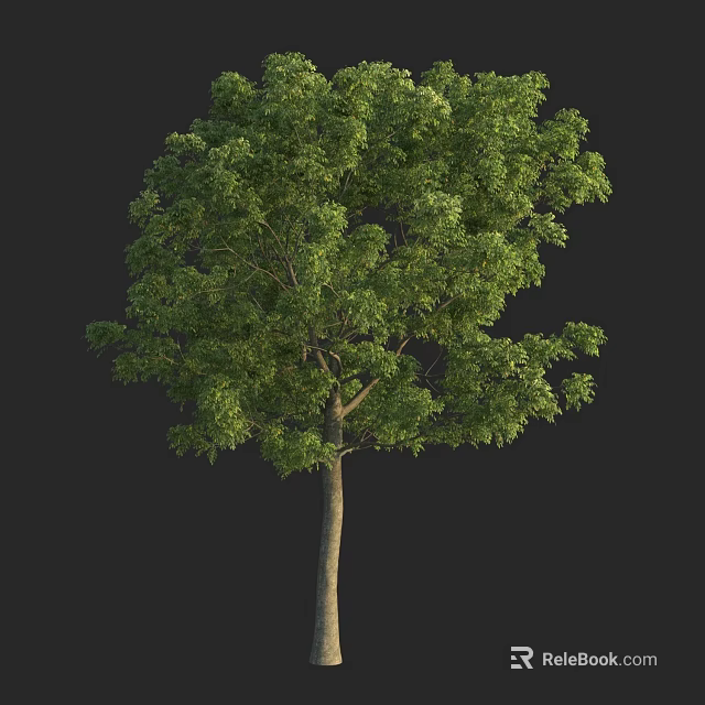 Lush Green Arbor With Dense Foliage Strong Trunk And Natural Setting 3d model 