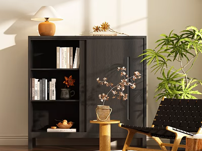 Modern Dark Wooden Bookcase with Books Table Lamp Vase Potted Plant and Chair 3d model