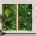 Green Plant Wall with Wooden Frames and Palm Tree Beside for Interior Decoration