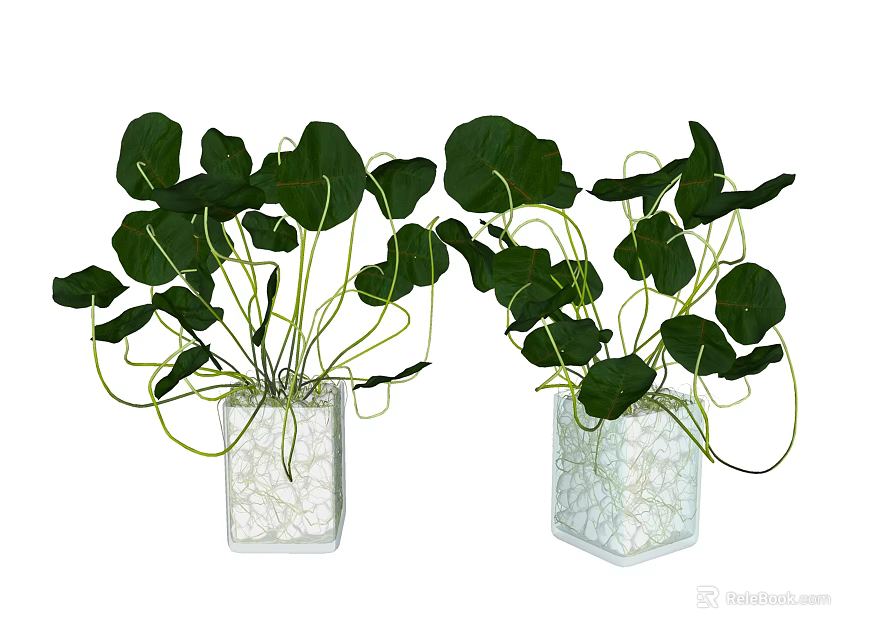 White Textured Square Vases With Green Hanging Leaf Plants For Indoor Decor 3d model 