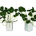 White Textured Square Vases With Green Hanging Leaf Plants For Indoor Decor