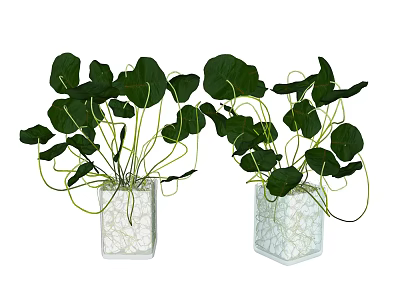 White Textured Square Vases With Green Hanging Leaf Plants For Indoor Decor 3d model