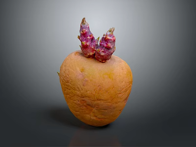 Orange root vegetable with purple red sprouts on top placed on smooth gray surface 3d model