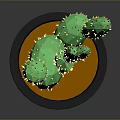 Potted Green Cactus Plant in Black Pot with Orange Soil
