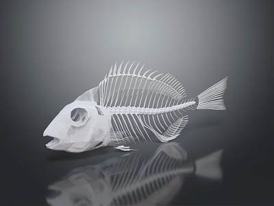 Detailed White Fish Skeleton On Dark Background With Clear Reflection 3d model