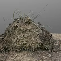 Natural Scene Featuring Earth Mound With Dry Branches Tree Roots Green Log And Scattered Soil