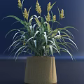 Beautiful Bonsai Potted Plant with Green Leaves and Yellow Flowers in Brown Decorative Pot